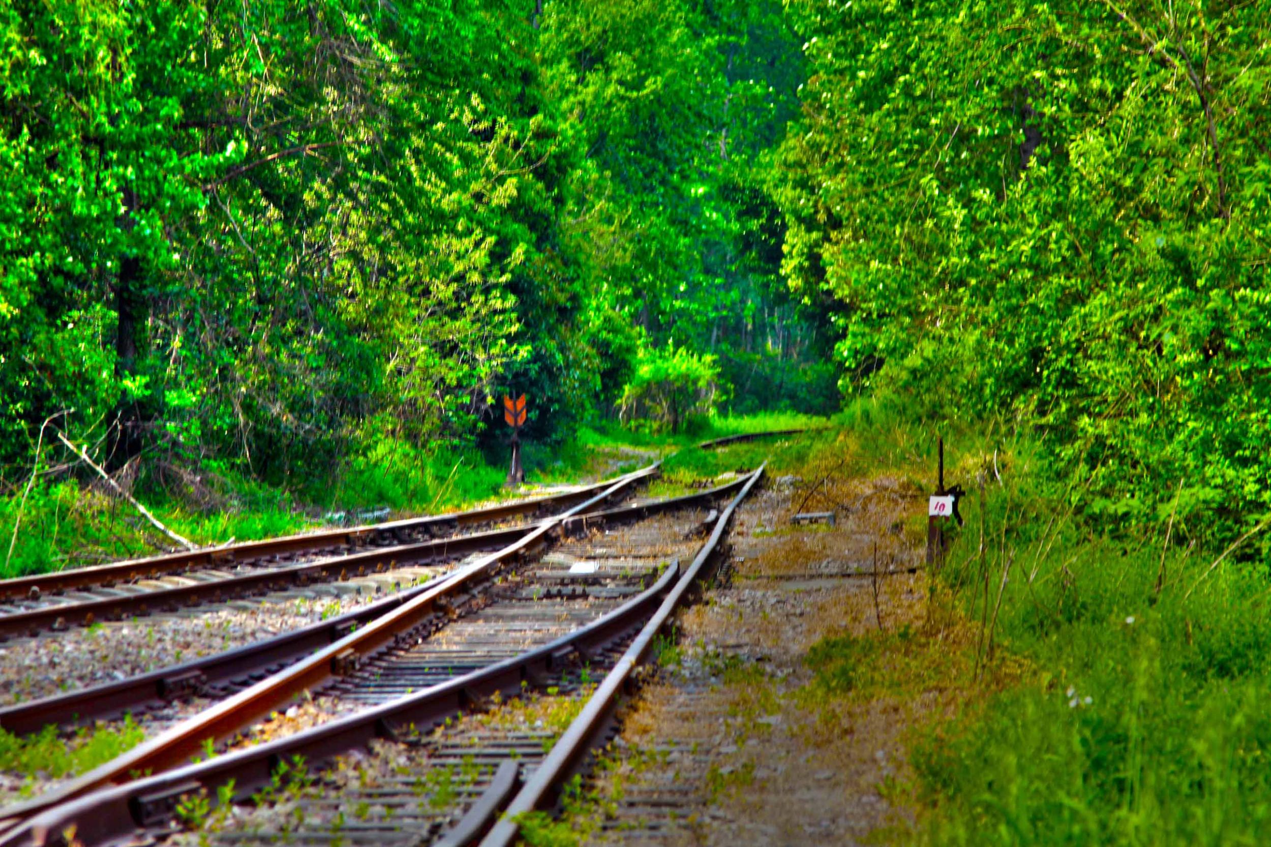我省今年年內(nèi)有4條鐵路線(xiàn)投入運(yùn)營(yíng)更多出行選擇！