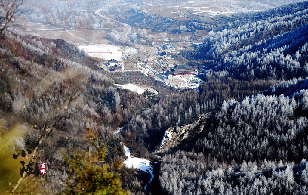 小隴畫報(bào)|甘肅渭源霧?。河駱?shù)瓊花靚山野（82期）