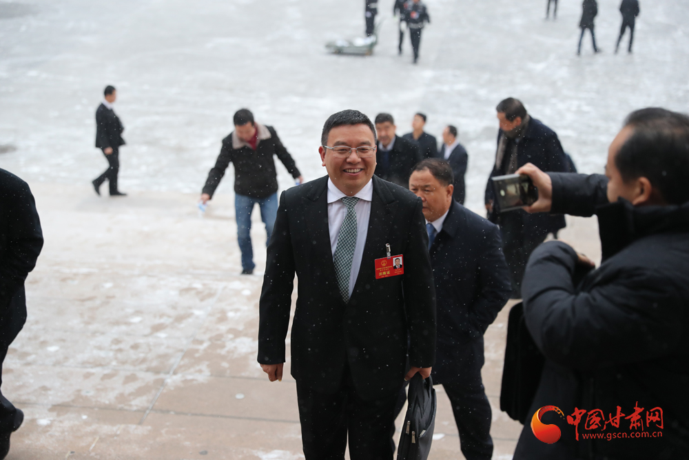 【聚焦2020甘肅兩會】“兩會”代表、委員風(fēng)采掠影（組圖）