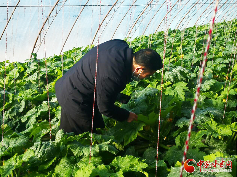敦煌市肅州鎮(zhèn)：技術人員“一線”解民憂