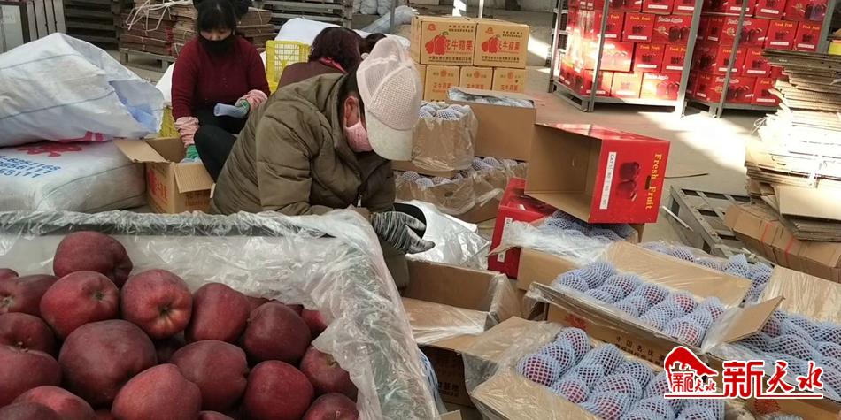 天水“花牛”最近有點“?！?>
        </a><em>天水“花牛”最近有點“?！?/em></li>
    <li><a  target=