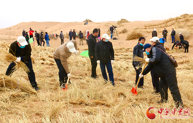 不“疫”樣的植樹節(jié)！甘肅省新聞戰(zhàn)線工作者攜手播綠“八步沙”（圖+視頻）