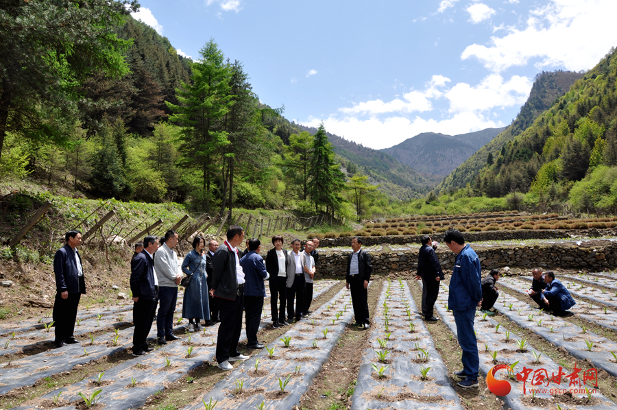 白龍江博峪河保護局開展產(chǎn)業(yè)發(fā)展、義務(wù)勞動成果現(xiàn)場觀摩交流活動