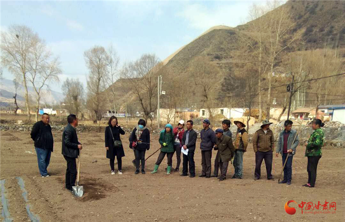 定西漳縣：“選育管獎”全方位強化村黨組織建設（圖）
