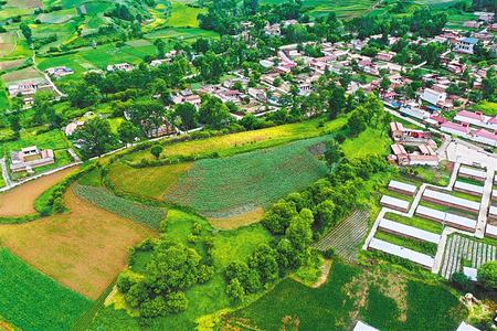 【溫暖的回響 滄桑巨變 飲水思源】這條路，通往幸福