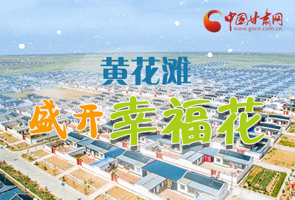 【跟著總書記看甘肅】長圖|武威黃花灘盛開幸?；?