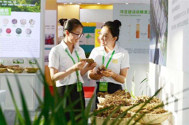 定西，從“千年藥鄉(xiāng)”邁向“中國(guó)藥都”