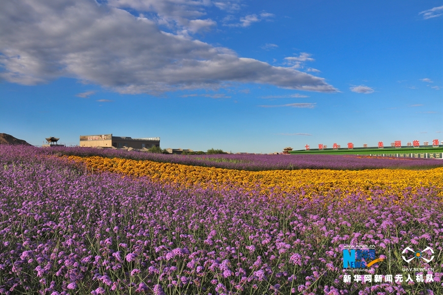 【“飛閱”中國】鳳凰花?！罢钩帷钡は伎?>
        </a><em>【“飛閱”中國】鳳凰花海“展翅”丹霞口</em></li>
    <li><a  target=