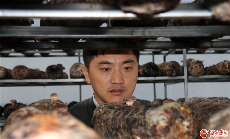 110年！何家溝村終于有了集體經(jīng)濟(jì)——中建二局黨建結(jié)對幫扶成效顯著