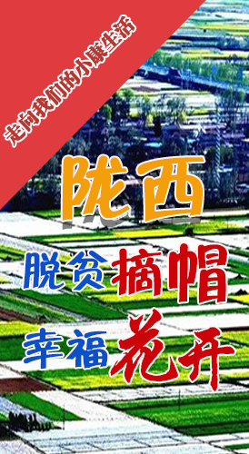 【走向我們的小康生活】長圖|隴西：脫貧摘帽 幸?；ㄩ_