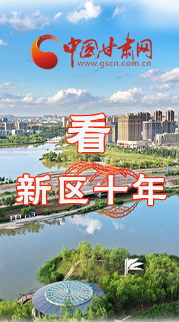 圖解|崛起！新區(qū)十年