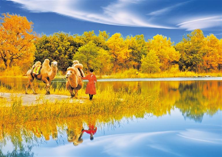 國(guó)慶長(zhǎng)假，去金塔遇見(jiàn)最美胡楊