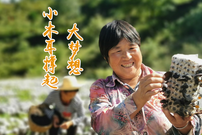 海報(bào)丨他們，乘“豐”破浪！