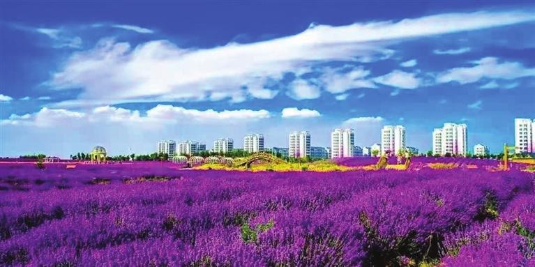 “三連冠”！金昌蟬聯(lián)全國(guó)文明城市