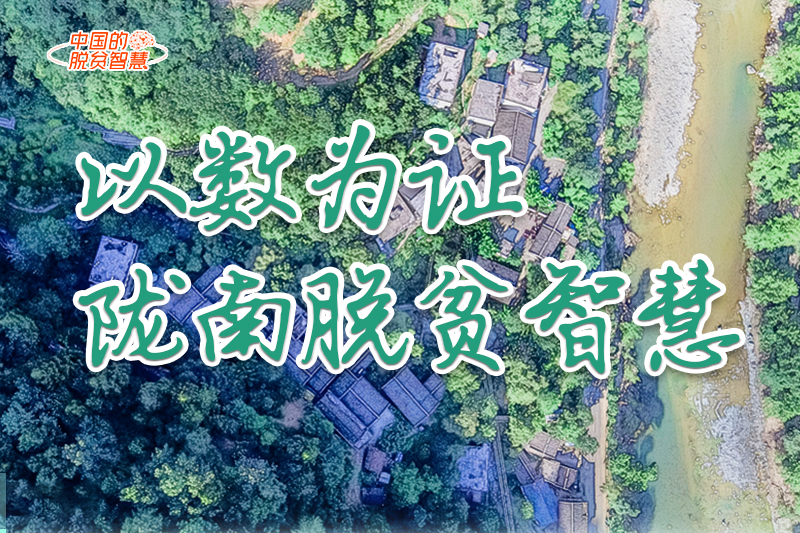 【中國(guó)的脫貧智慧】以數(shù)為證！隴南脫貧智慧來(lái)了！