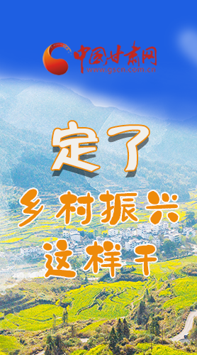 圖解|定了！全面推進(jìn)鄉(xiāng)村振興這樣干！