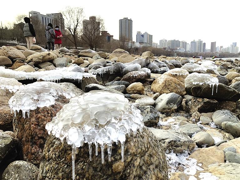 蘭州：水母上河灘？