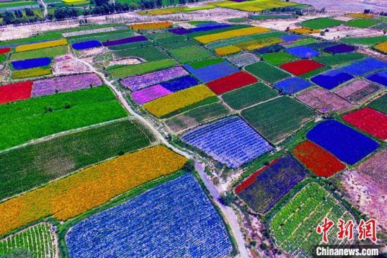 甘肅酒泉：除了天時(shí)地利，還有一“種”力