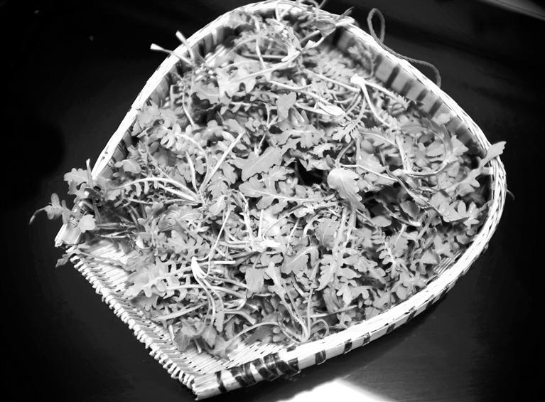甘肅美食丨摘野菜，咬個(gè)“春”，讓味蕾清新起來(lái)