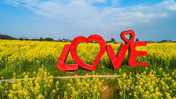 “l(fā)ove”創(chuàng)意拍照墻。廖濤 攝