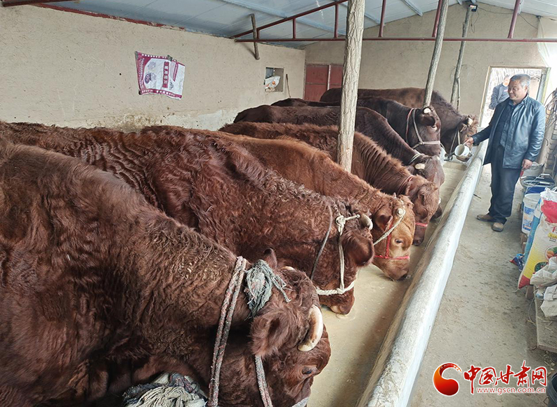 平?jīng)鰶艽ǎ骸芭！碑a(chǎn)業(yè)鋪就致富路