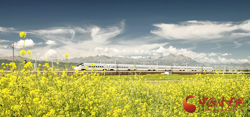 坐上火車“邂逅”春天，你可以這樣享“鐵路游”