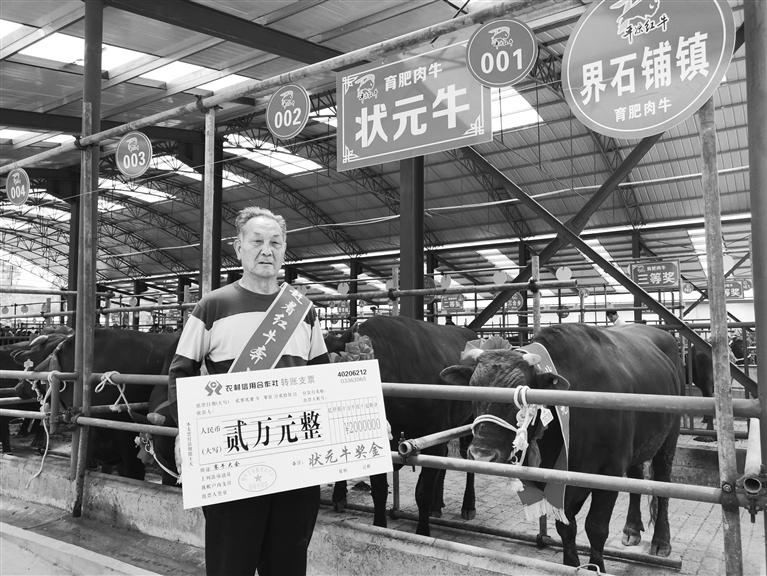 120頭“平?jīng)黾t?！膘o寧爭(zhēng)霸