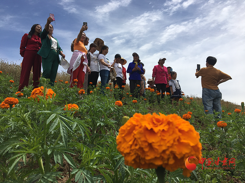  西和：美麗經(jīng)濟為鄉(xiāng)村振興提質增速