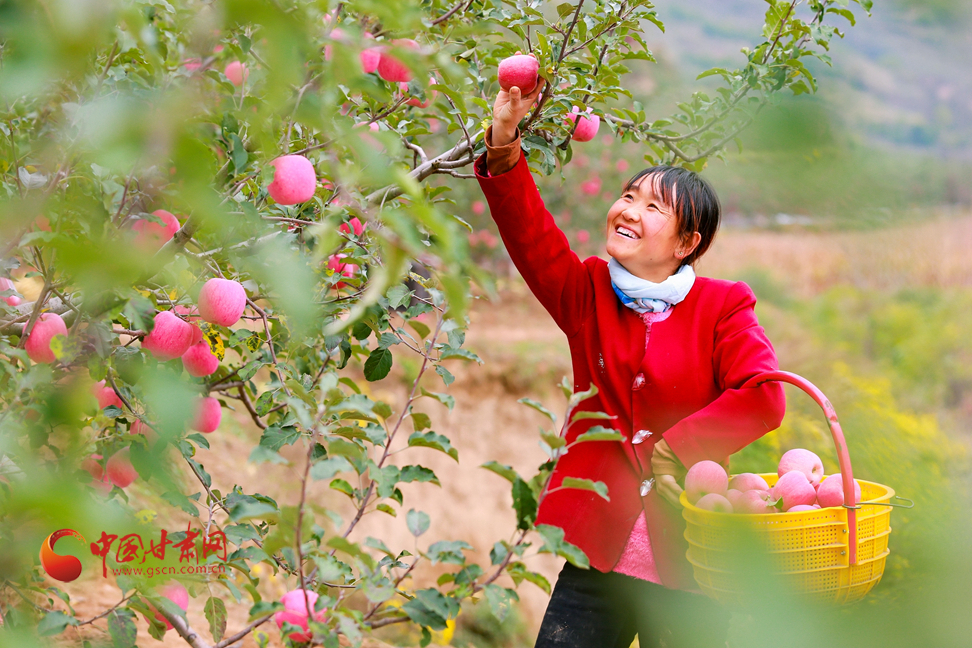 【走進鄉(xiāng)村看小康】甘肅靜寧：“小蘋果”撐起縣域經濟“脊梁”