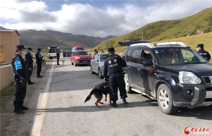 【警察節(jié)特刊】2021年甘肅禁毒工作取得重大成效 打掉販毒團(tuán)伙210余個