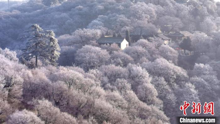 圖為霧凇美景?！⌒煺袢A 攝