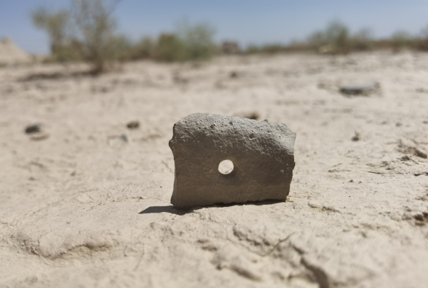 插圖1：河西走廊上遺存的古陶片。攝影：陳曉斌。拍攝日期：2020年6月。