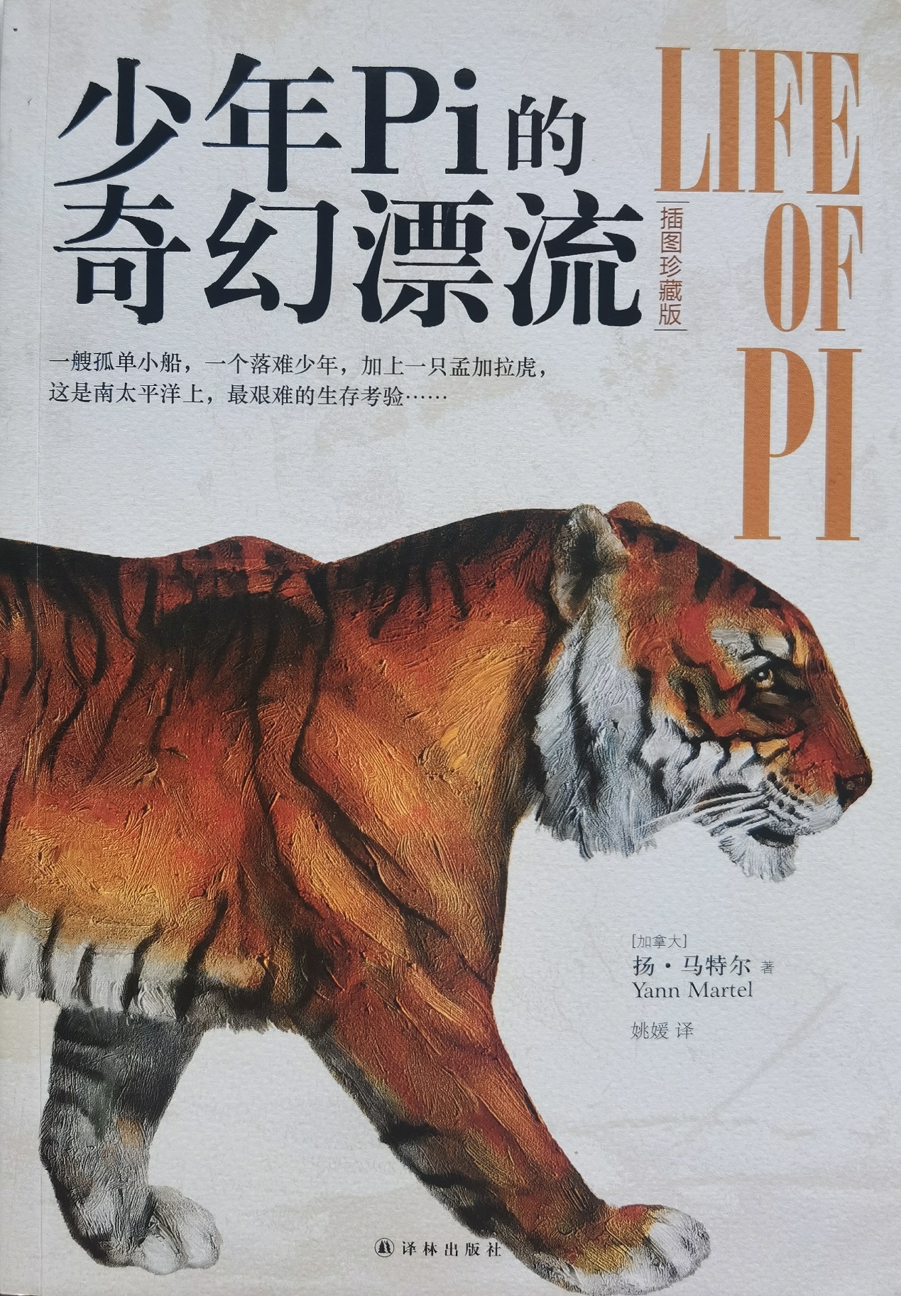 插圖1：揚(yáng)？馬特爾的小說《少年pi的奇幻漂流》封面