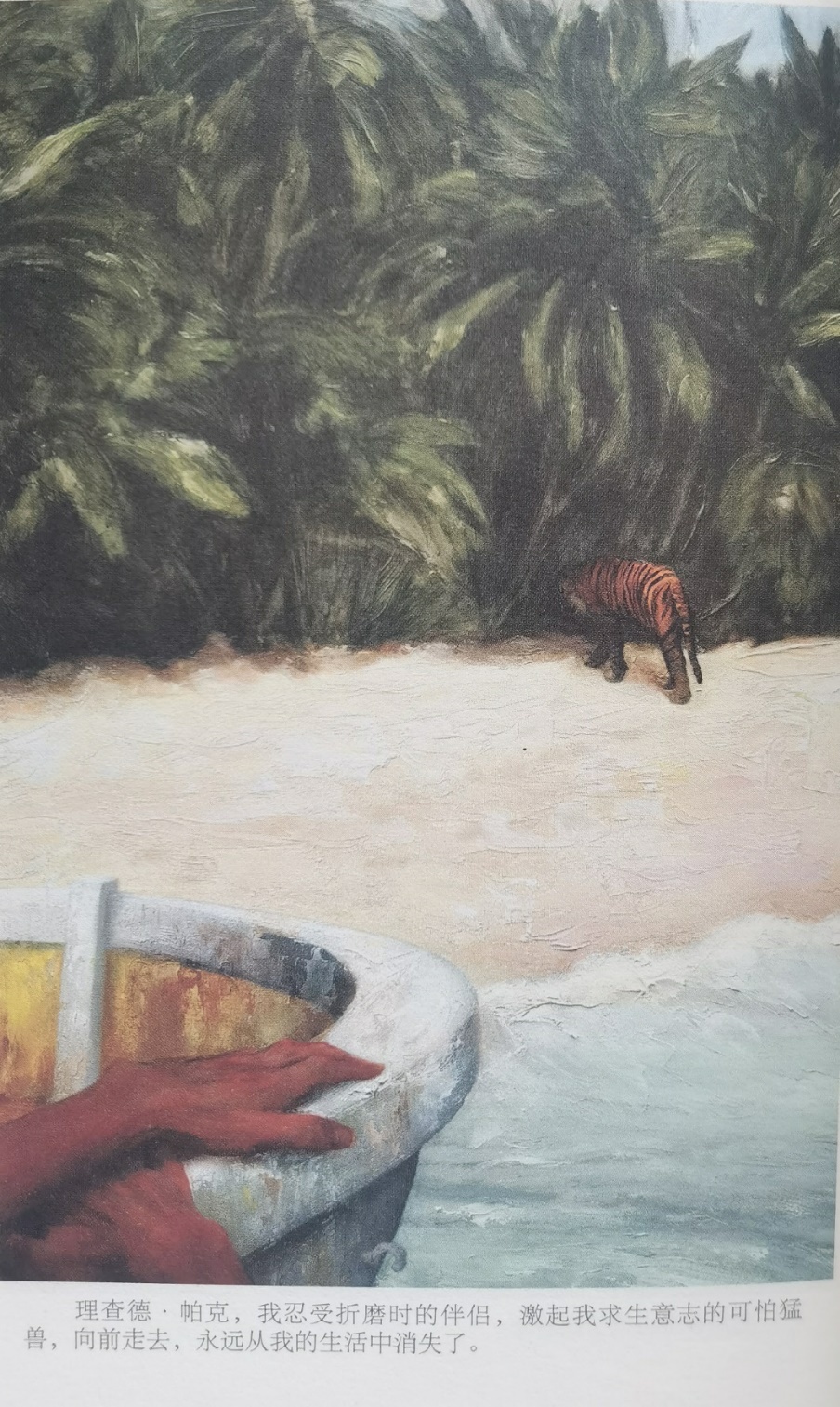 插圖3：揚(yáng)？馬特爾的小說《少年pi的奇幻漂流》插圖