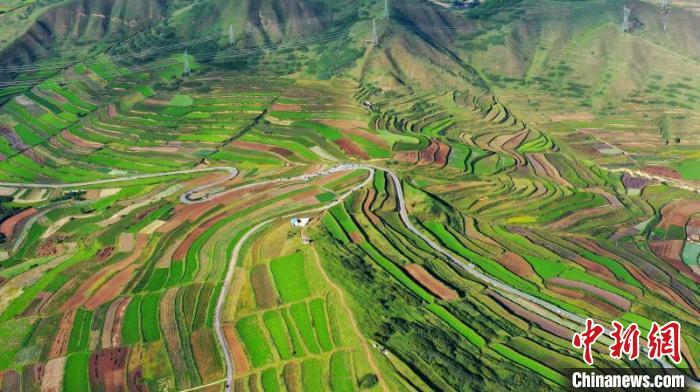 秋日里，榆中縣馬坡鄉(xiāng)千畝梯田，不同農(nóng)作物漸趨成熟，呈現(xiàn)出多種色彩，宛若大地的“調(diào)色盤”?！圆?攝