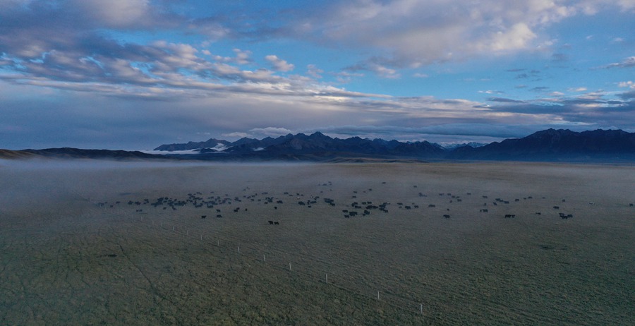 甘肅山丹馬場：峽谷云霧似仙境。 王超攝