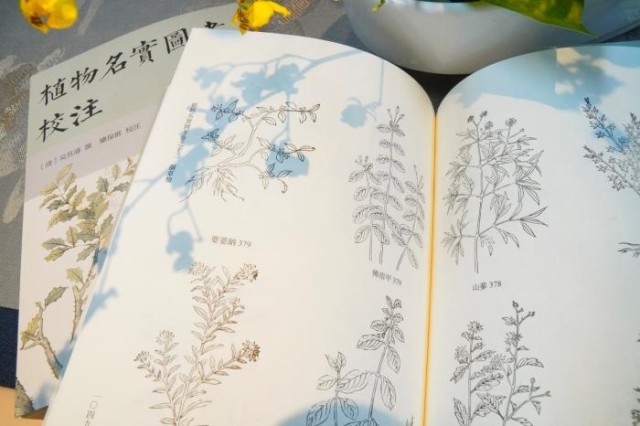 《植物名實(shí)圖考校注》內(nèi)頁。圖片來源：中華書局供圖