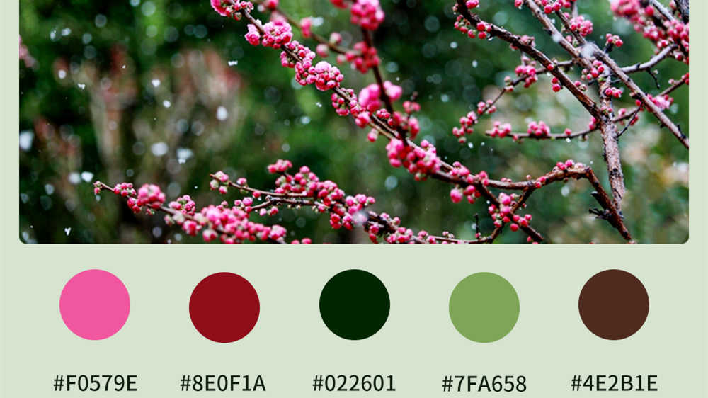 微海報|收藏！色卡里的春日甘肅