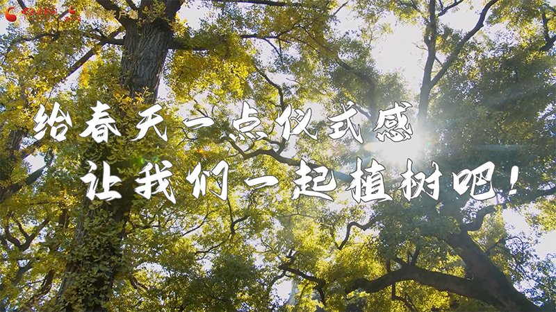 短視頻|給春天一點儀式感，讓我們一起植樹吧！
