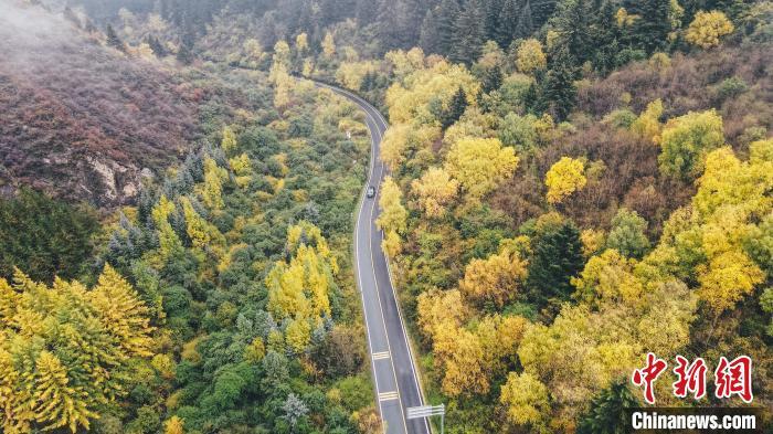 深秋，航拍位于蘭州市榆中縣的興隆山，景色如畫。金峯 攝</p>
<p>