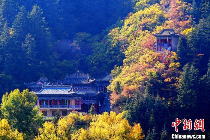 深秋，位于蘭州市榆中縣的興隆山景色如畫。宮衛(wèi)紅 攝