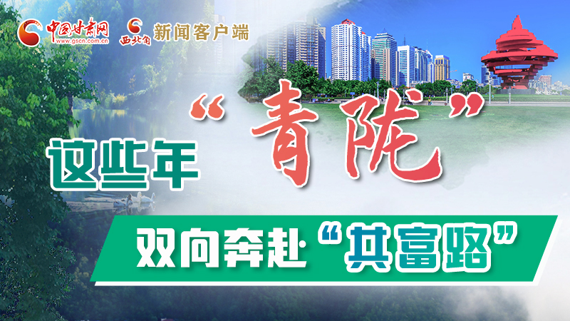 【江河奔流·青隴協(xié)作譜新篇】這些年，“青隴”雙向奔赴“共富路”