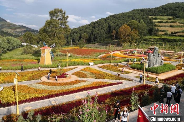 圖為航拍甘肅甘南臨潭縣八角鎮(zhèn)，花海吸引游人。(資料圖)高展 攝