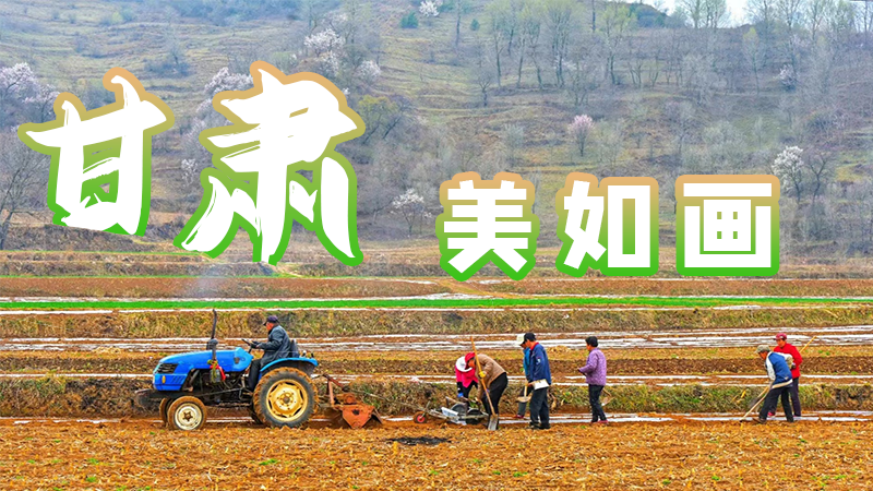 微海報(bào)|甘肅，美如畫(huà)