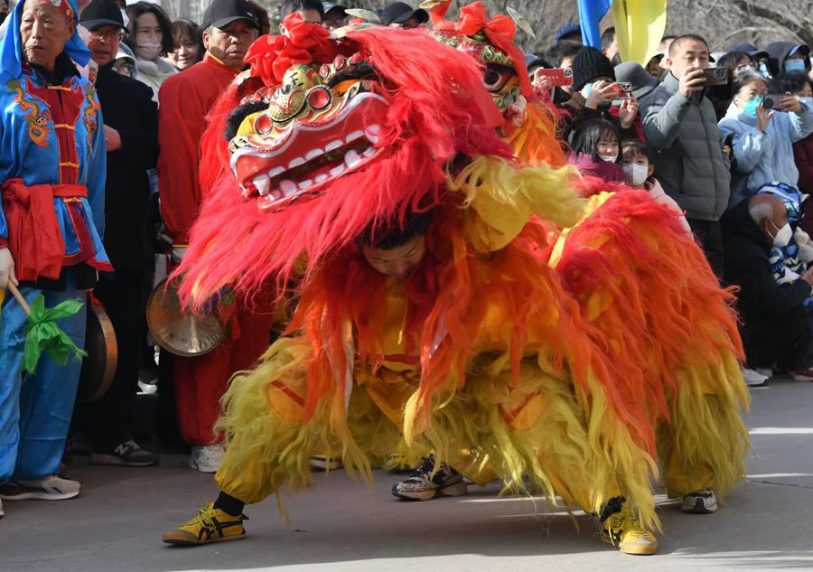 蘭州北獅表演現(xiàn)場。受訪者供圖