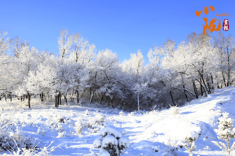 雪舞河州添雅韻 瑞冬啟歲盼豐年