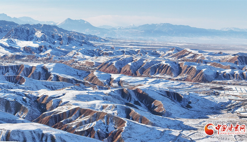 隴拍客丨祁連山萬頃沃野顯生機
