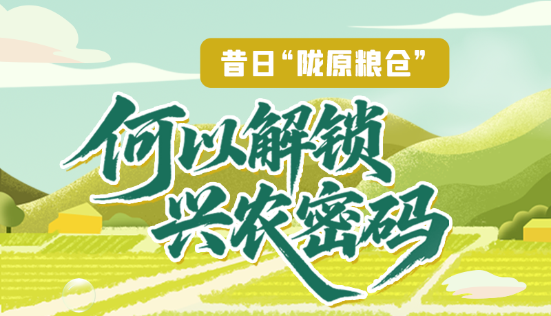 【理響中國·話隴點睛（3）】昔日“隴原糧倉”，何以解鎖“興農(nóng)密碼”