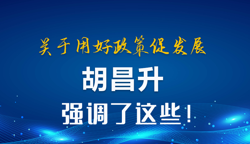圖解|關(guān)于用好政策促發(fā)展 胡昌升強調(diào)了這些！