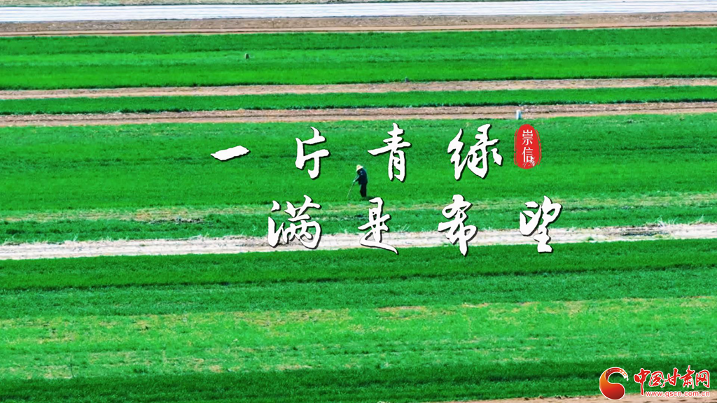 【甘快看】春動隴原·隴拍客丨平?jīng)龀缧牛何忠颁伌淅L就春日好“豐”景